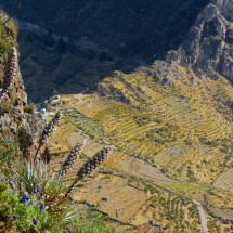 View from the Inca ruins into the Cotahuasi canyon